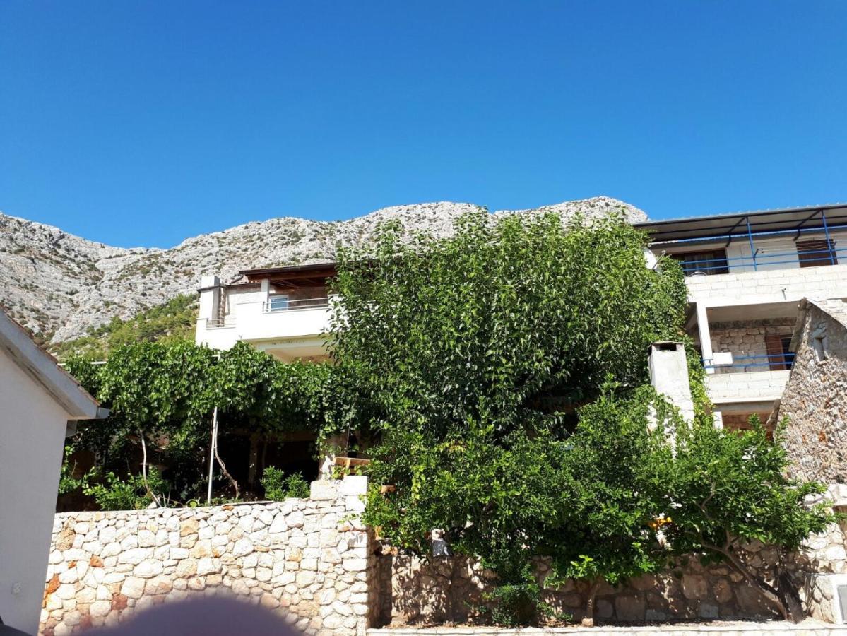 Apartments With A Parking Space Ivan Dolac, Hvar - 8753 Εξωτερικό φωτογραφία